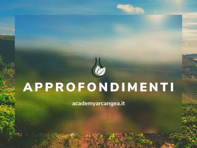 Approfondimenti