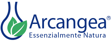 Accademia Arcangea