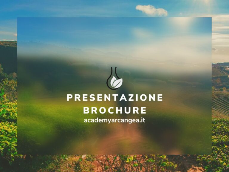 Presentazione brochure