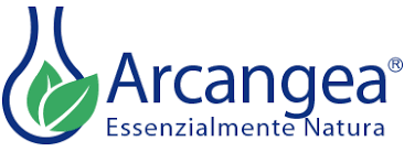 Accademia Arcangea